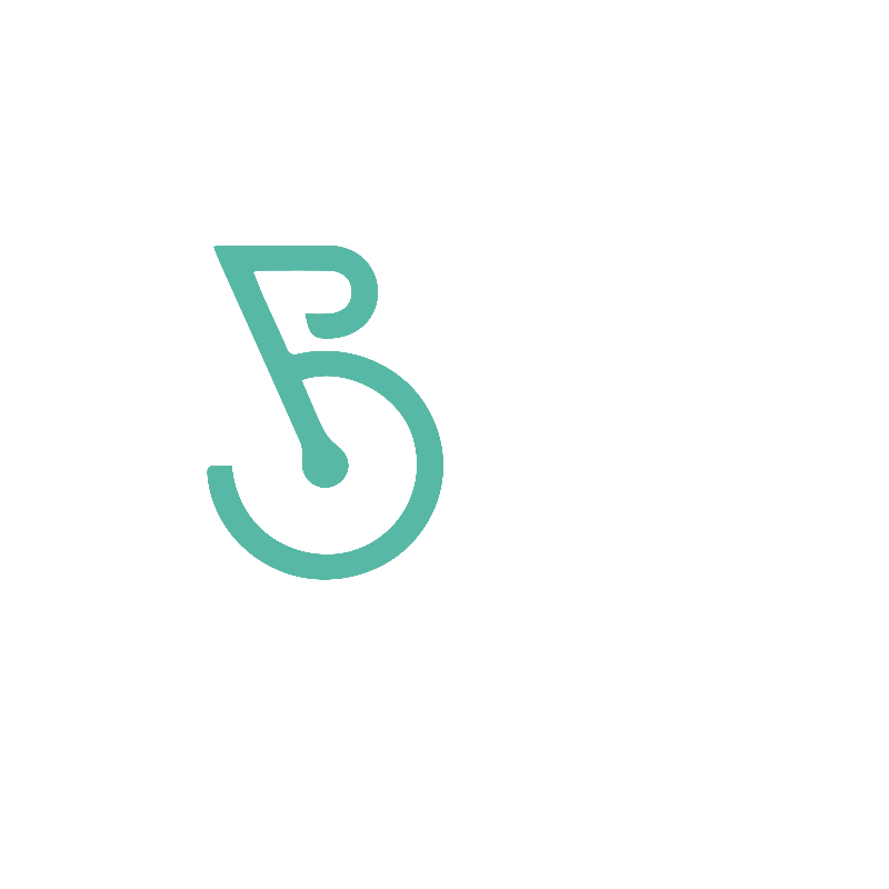 Logo Baous Cycles